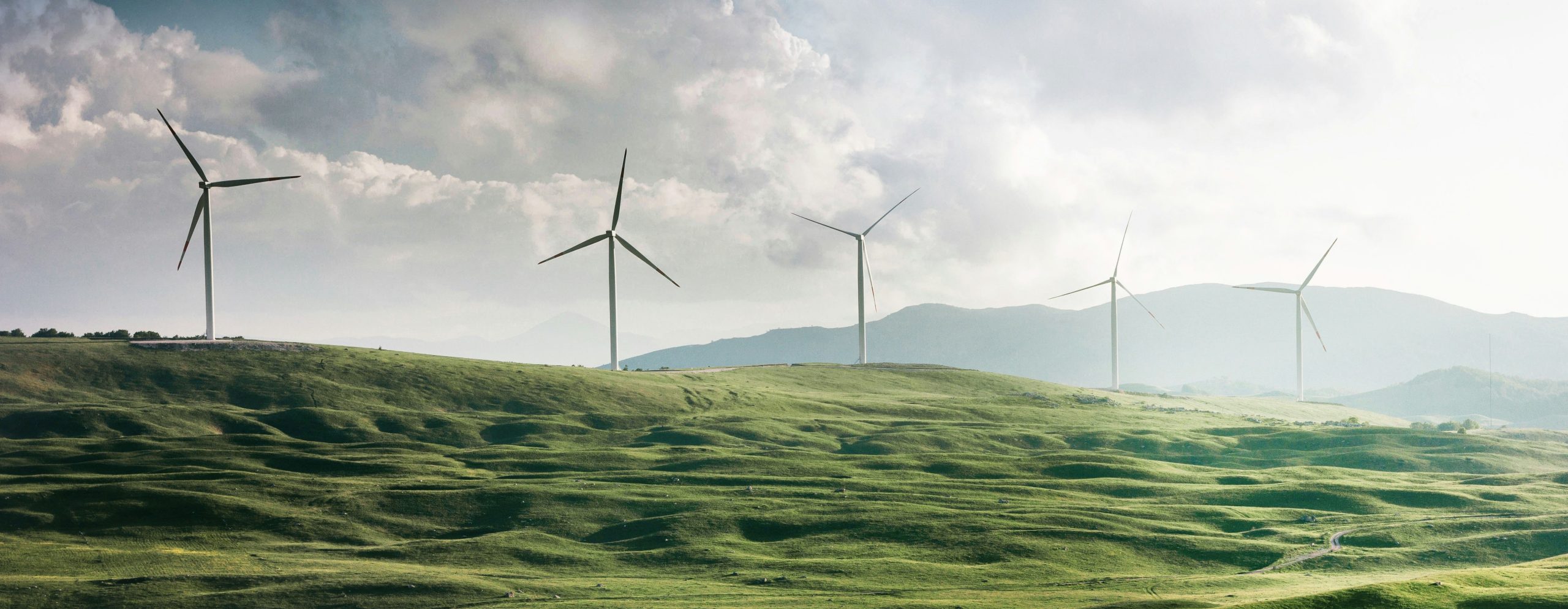 Top 50 des développeurs d'énergies renouvelables en France