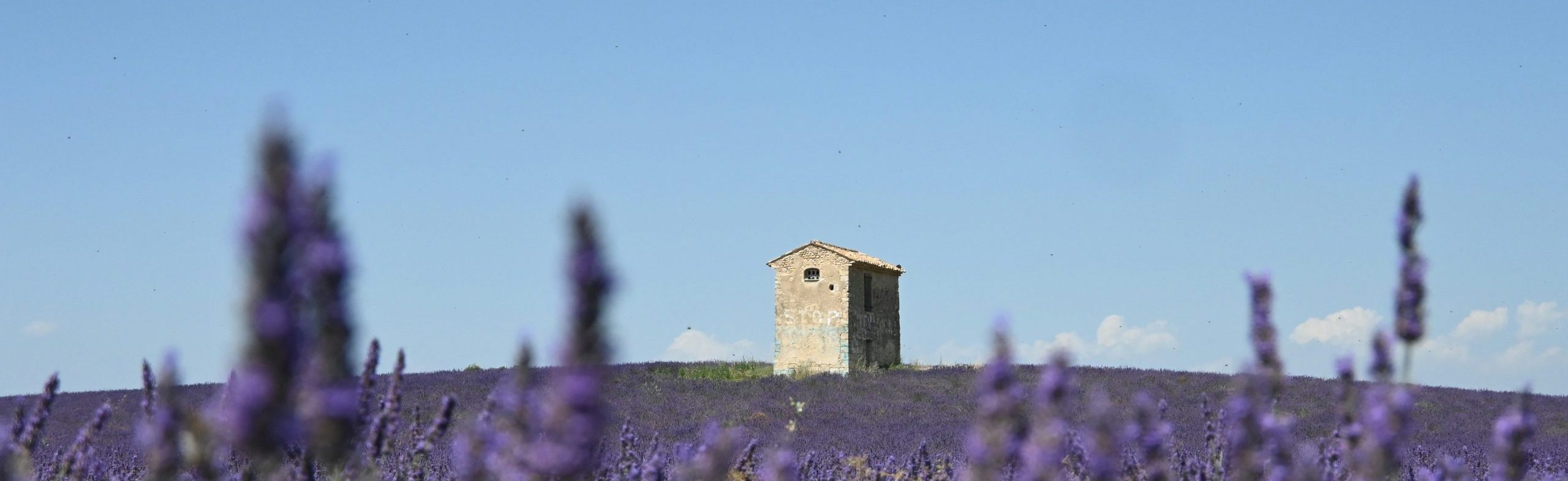 Top 5 entreprises de construction Provence-Alpes-Côte d'Azur